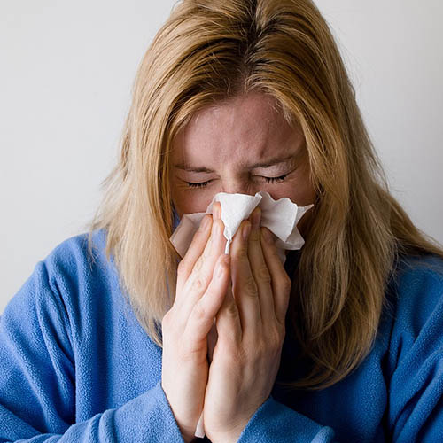 Vue interieure de la Pharmacie des Arts et Métiers